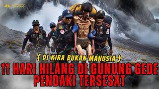 NGERI ! KISAH PENDAKI 11 HARI HILANG DI GUNUNG GEDE DI TEMUKAN DENGAN KONDISI KURUS DAN KELAPARAN