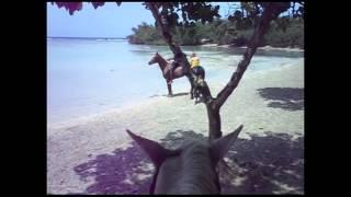 Horseback riding in Jamaica