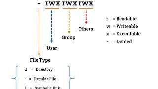 Linux File Permissions and Security: chmod, chown, setuid, setgid, and Sticky Bit Explained