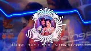 Peelings New Song | Pushpa 2 The Rule | Dj Omkar Kwd | EDM JAzz | Hindi Song Dj | Peelings Song Mix