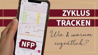 Zyklus tracken mit NFP - Zyklusphasen bestimmen & dich besser kennen lernen - App myNFP