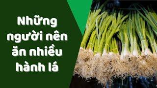 Những người nên ăn nhiều hành lá | Báo Lao Động