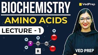 Amino Acids and Proteins Classification Biochemistry | Lecture-1 Classification of Protein | Vedprep