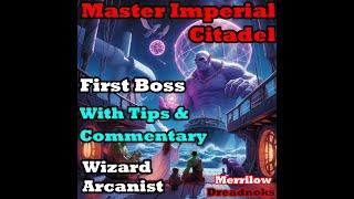 Neverwinter Mod28 - Master Imperial Citadel - First Boss with tips and commentary - Wizard Arcanist