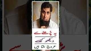 Ya Pharney Se Dakho Kaisay Urooj Milta Hai #junaidjamshed