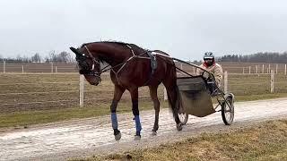 Standardbred Harness Racing Ownership Sharing Group Ownastandardbred