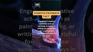 Synaptic pathways are created when we learn new things. #synaptic #learnsomethingnew