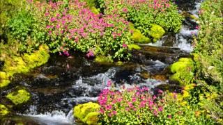 Relaxing Woodwind Music - Tranquil Water Sounds - Flute, Clarinet, Oboe, Bassoon, Guitar,