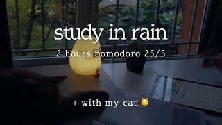 2 hour study | ️ rain study with me | pomodoro 25/5 | sunset | with my cat 