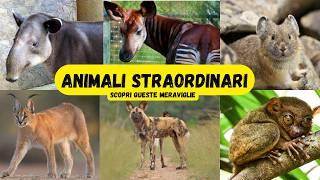 Aniamali straordinari