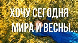 "Хочу сегодня мира и весны" Автор Алёна Гавенаускене-Колосовская