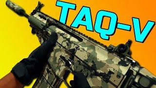 BEST TAQ-V Class Setup For Modern Warfare 2 & Warzone | Battle Rifles