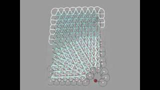 fluidCells pln web2