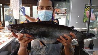 Amazing Giant Pangas Fish Best Cutting Skills SH Fresh & Fish Man