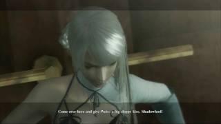 Nier cutscene - The Shadowlord & Grimoire Noir