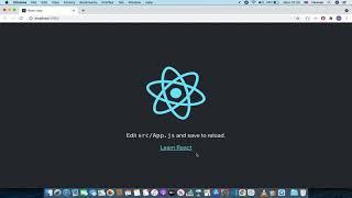 React JS Tutorial - How To Import Images