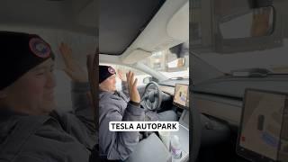 “ TESLA AUTOPARK “ #teslamodely #teslamodel3