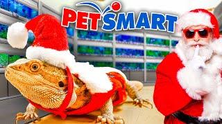 PetSmart Secret Santa: Reptile Edition!