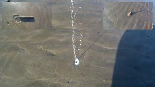 Collecting Razor Fish / Clam - How to Find the Burrows