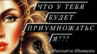 ЧТО БУДЕТ ПРИУМНОЖАТЬСЯ? ‍#tarot#гаданиеонлайн#шкатулкараскладов#даров