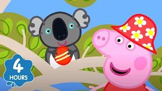 Peppa Meets a Koala! | Cartoons for Kids | Full Episode | Peppa Pig