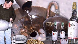 Artisanal anise liqueur. Distillation of anise seeds with water and alcohol in an alembic