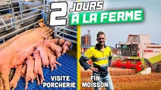 2 JOURS À LA FERME : Visitez ma porcherie neuve !