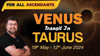 For All Ascendants | Venus transit in Taurus | 19th May - 12th June 2024 | Analysis by Punneit