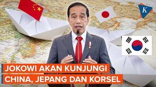 Presiden Jokowi Akan Kunjungi China, Jepang, dan Korea Selatan