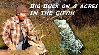 BIG CITY BUCK on 4 ACRES!! || Deer Hunting the Suburbs