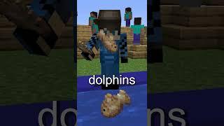 The Happy lore Of The Dolphin In Minecraft