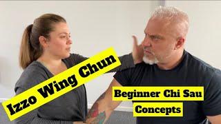 Beginning Chi Sau Concepts - Izzo Wing Chun