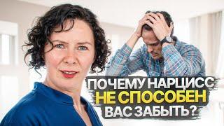 Почему Нарцисс не может вас забыть