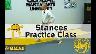 Shotokan Karate  - 8th Kyu Yellow Belt - Stances Practice Class