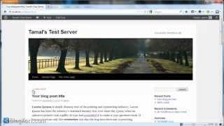 How to Add the Read More Link In Wordpress