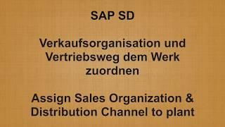 SAP SD - Assign Sales Organization & Distribution Channel to plant