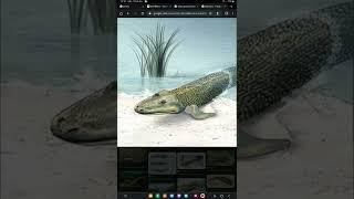 tiktaalik tribute