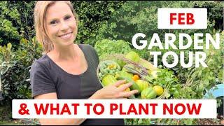 February GARDEN TOUR and PLANTING GUIDE for MELBOURNE! - Gardening Australia - Summer garden tour