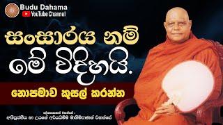 පින් ඇති අය මෙය අවබෝධ කරගන්න | Most Ven. Na Uyane Ariyadhamma Maha Thero