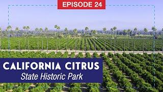 A Cultural Tale of California’s Citrus Industry