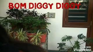 Bom diggy diggy dance choreography / Bolly-Hop / Sonu ke Titu ki Sweety / Vaneesh Parashar Dance