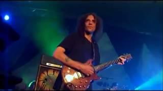 Ozric Tentacles - Live Sunrise Festival DVD 2007