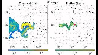 Turtle navigation to Ascension Island