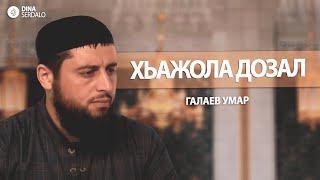 «Хьажола дозал» — Галаев Умар