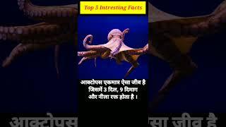 Top 5 Rochak Tathya | amazing facts in Hindi | #shorts #facts #rochaktathya