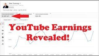 My YouTube Earnings Year 1