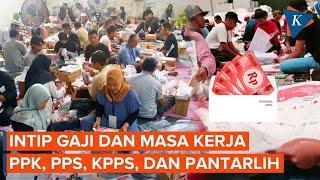 Segini Gaji dan Lama Masa Kerja PPK, PPS, KPPS dan Pantarlih pada Pemilu 2024