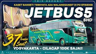 KAGET BANGET! Ternyata Ada Walang Sangit di PO EFISIENSI JETBUS 5 SHD Yogyakarta - Cilacap