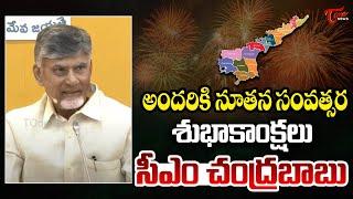 AP CM Chandrababu Naidu New Year Wishes | New Year 2025 | Andhra Pradesh | TOne News