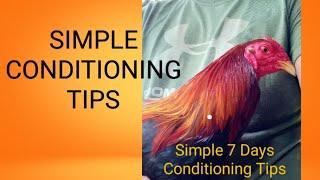 Episode I: Simple 7 Days Conditioning Tips